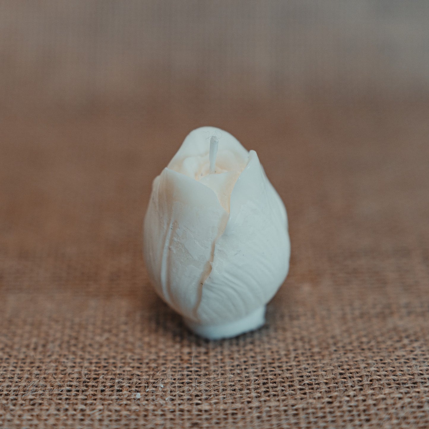 Forever Tulip - Blend